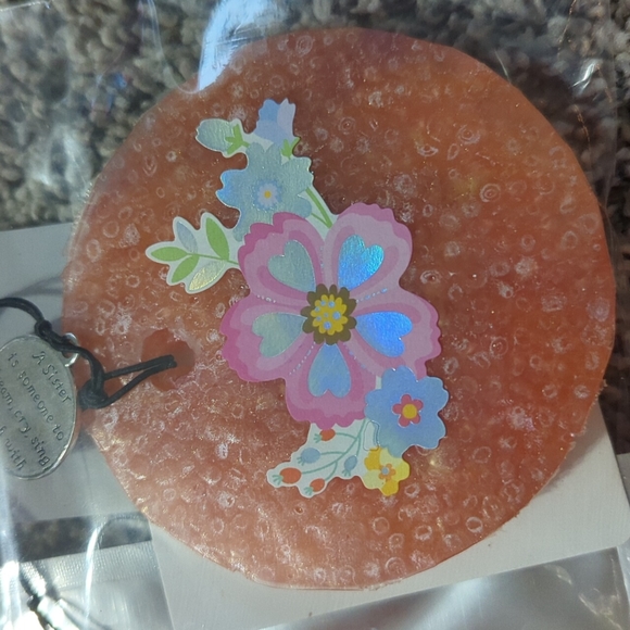 Apples and cinnamon car truck camper locker hamper closet air fresheners - Picture 3 of 10